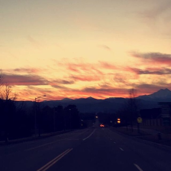 Meet your Posher, Maleah - Picture 1 of 1